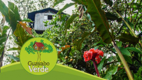 Guayabo Verde